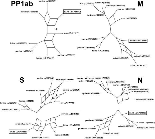 FIG. 2.