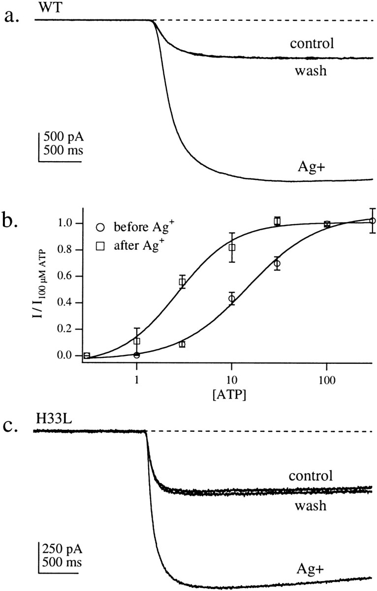 Fig. 8.