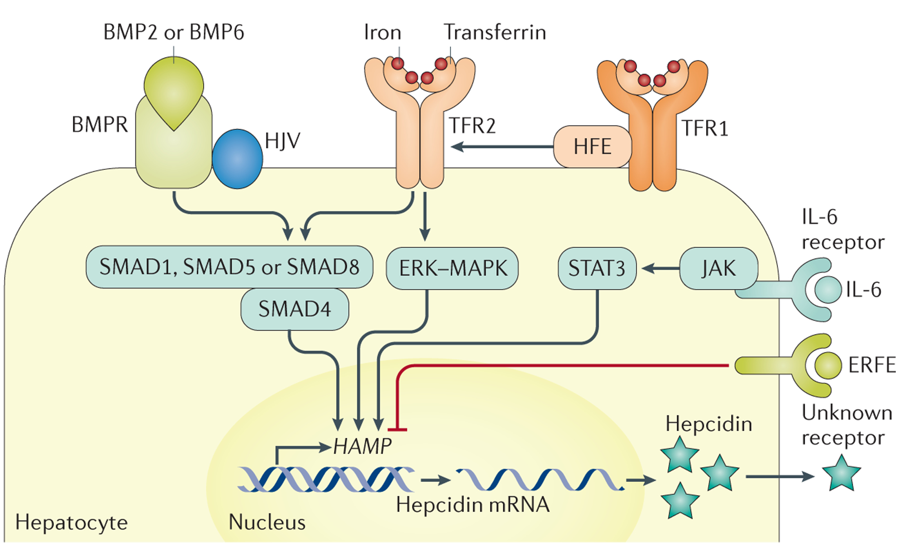 Figure 3 |