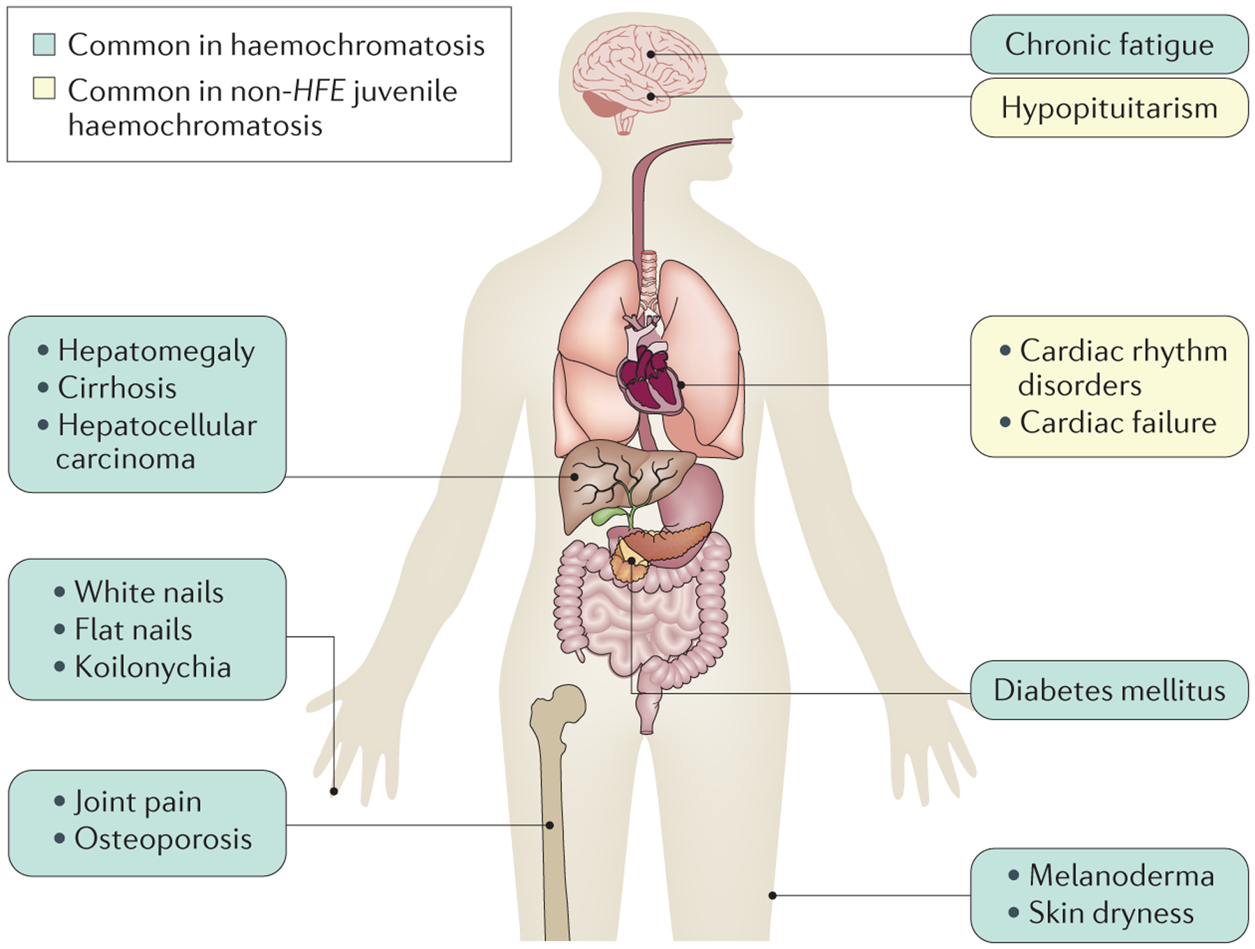 Figure 1 |