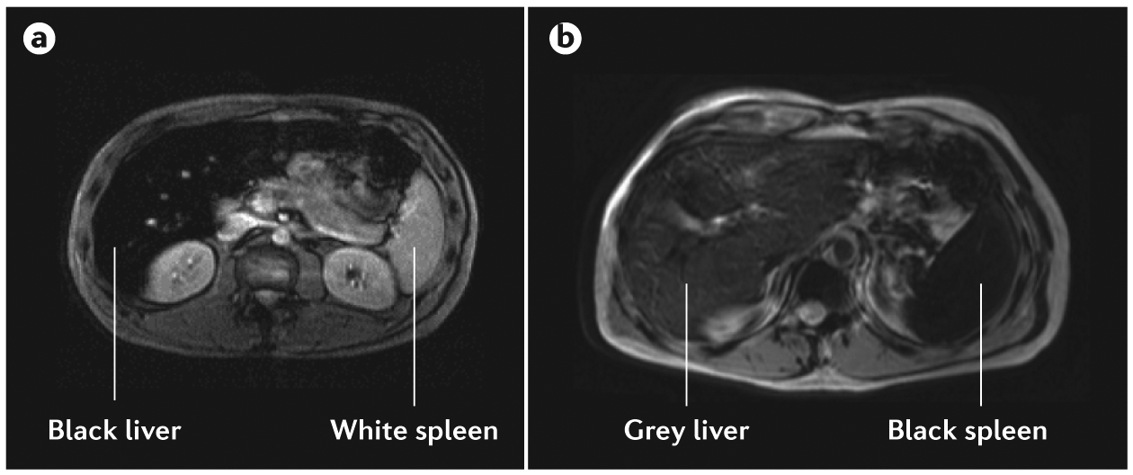 Figure 5 |