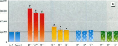 Figure 5. B