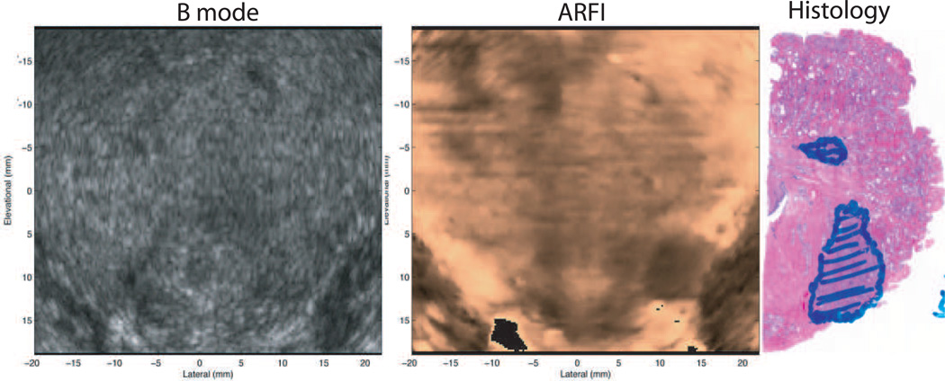 Fig. 8