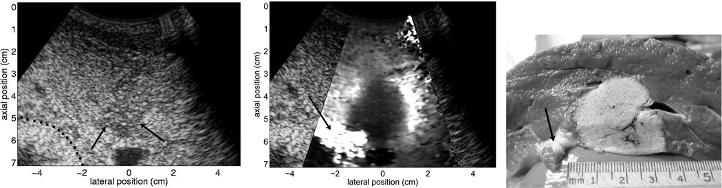 Fig. 9