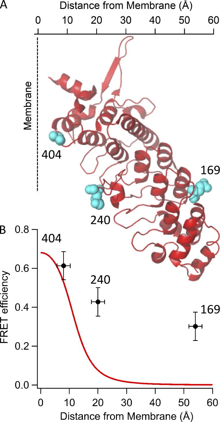 Figure 11.