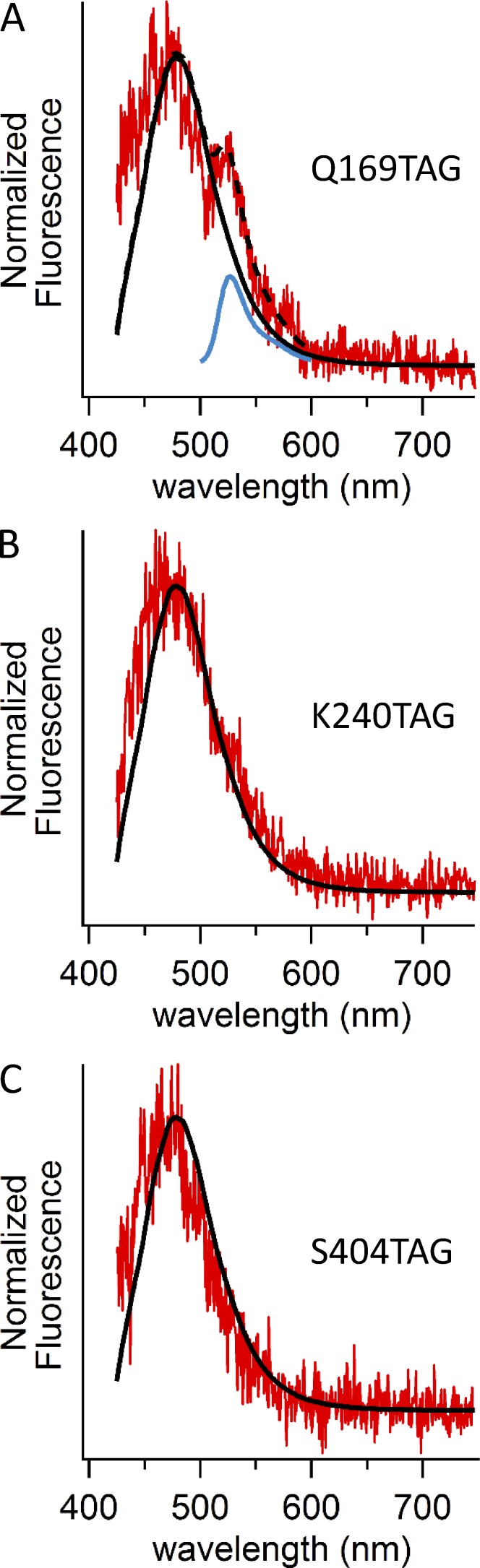 Figure 7.