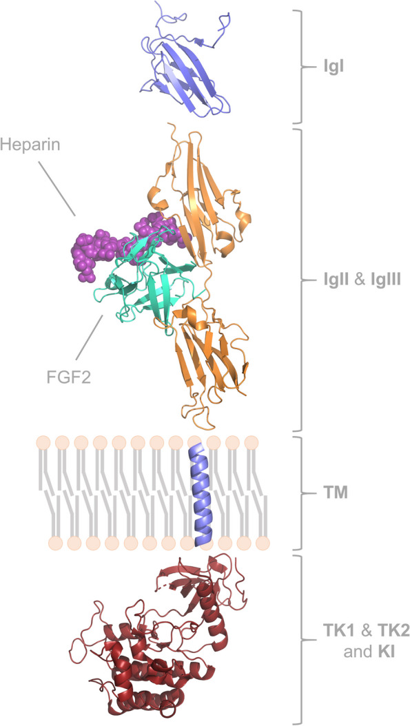 Fig. 2