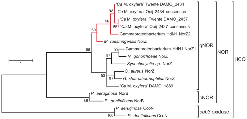 FIGURE 2