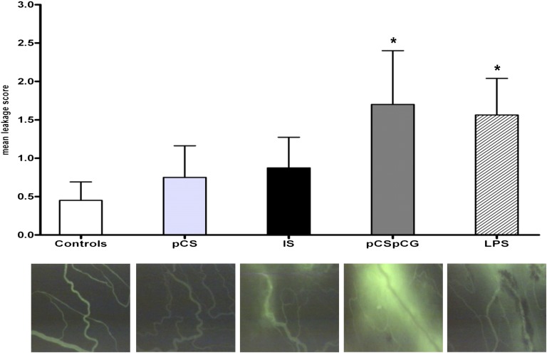 Figure 3.