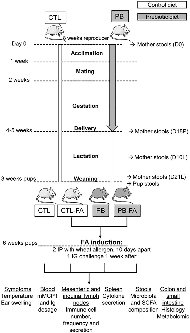 Figure 1