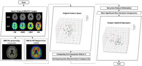 graphic file with name nihms-1615997-f0001.jpg