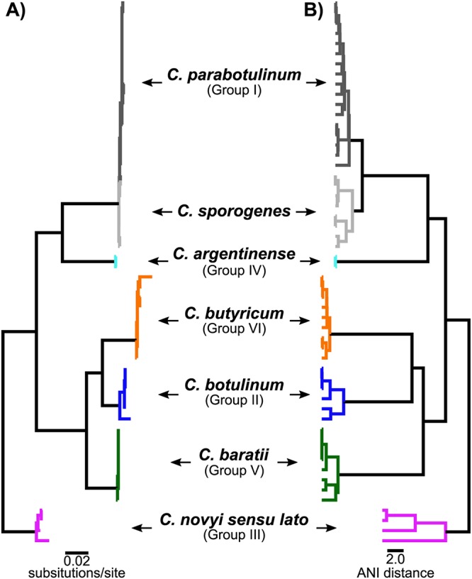 FIG 1