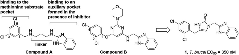 Scheme 1