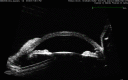 Fig. 13