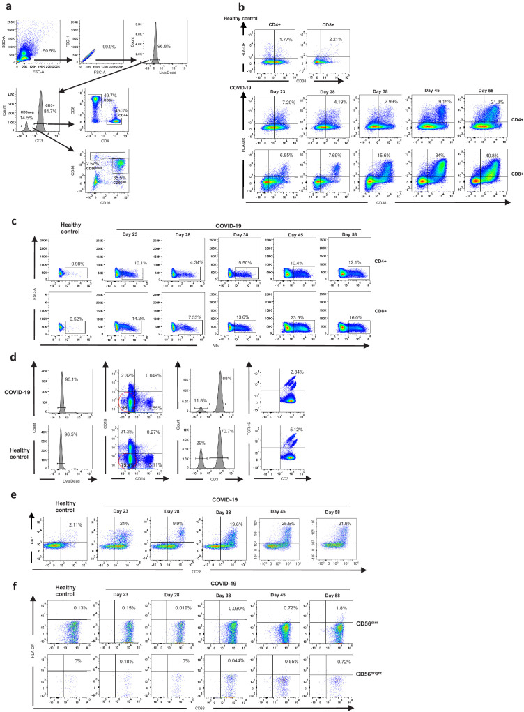 Figure 3—figure supplement 1.