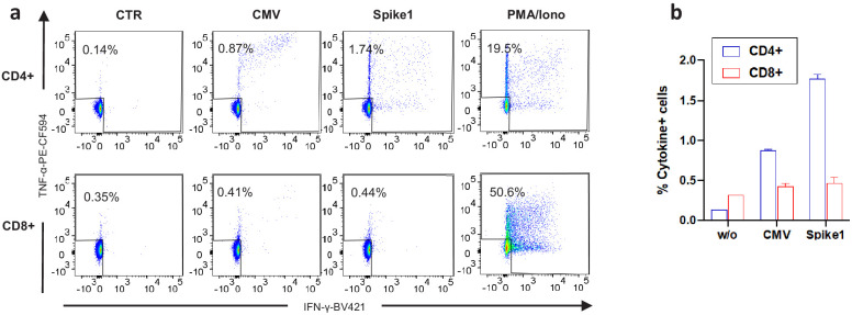 Figure 4—figure supplement 1.