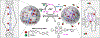 Figure 1 –