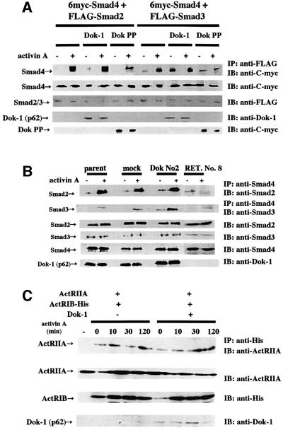 graphic file with name cdf153f8.jpg