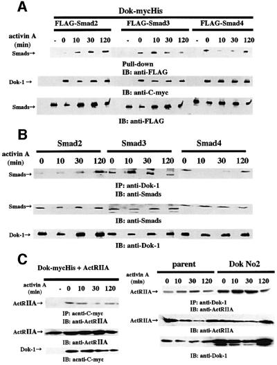 graphic file with name cdf153f7.jpg