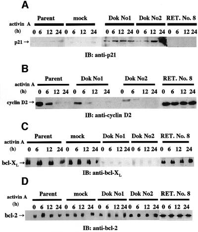 graphic file with name cdf153f3.jpg