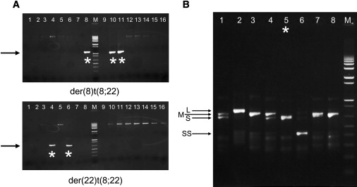 Figure 3