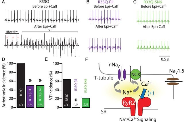 Figure 6