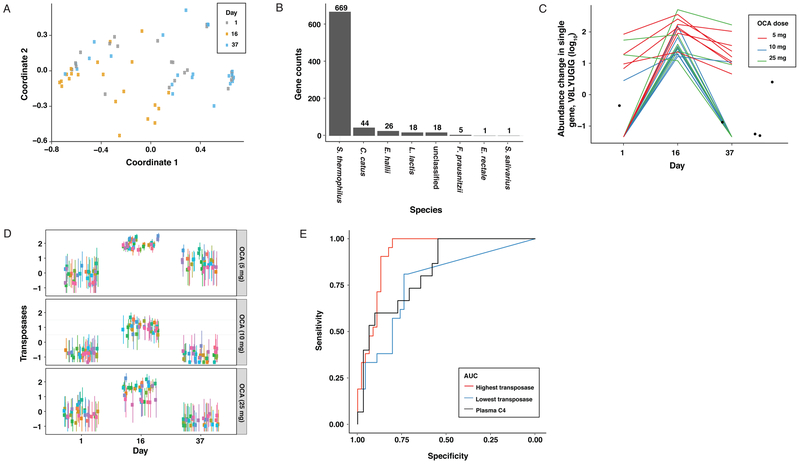 Figure 2: