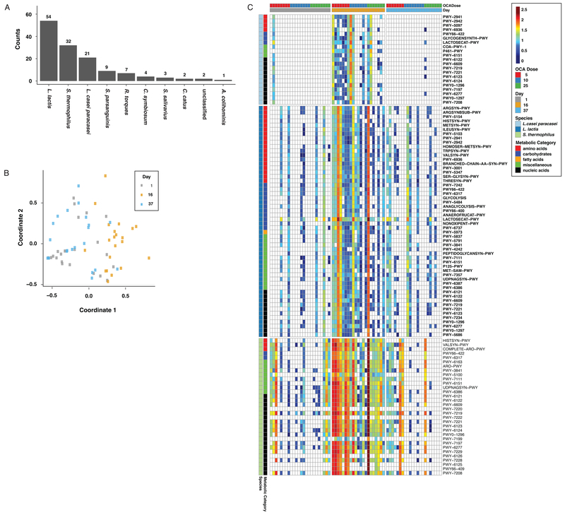 Figure 3: