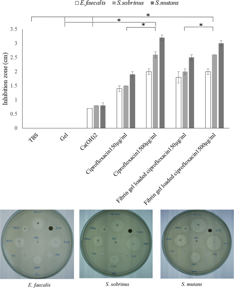 Figure 4