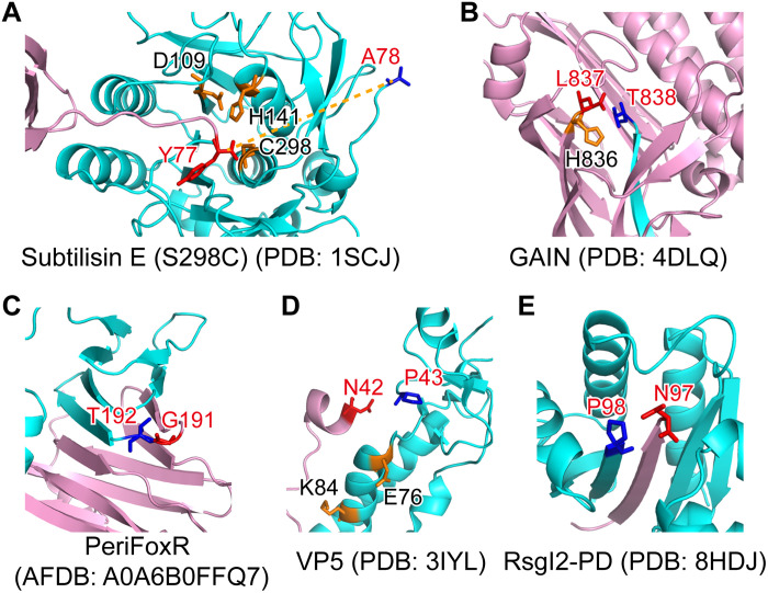 Fig. 3.