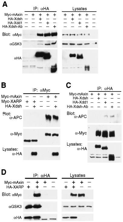 FIG. 8