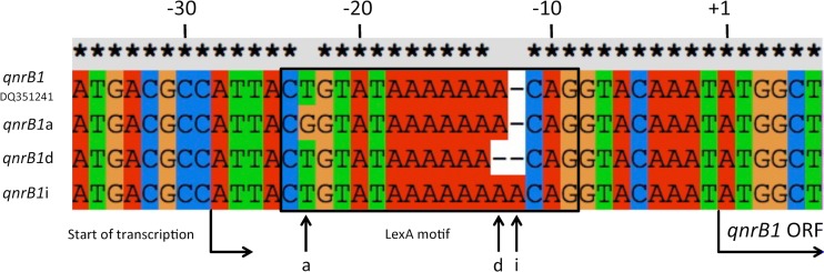 FIG 1