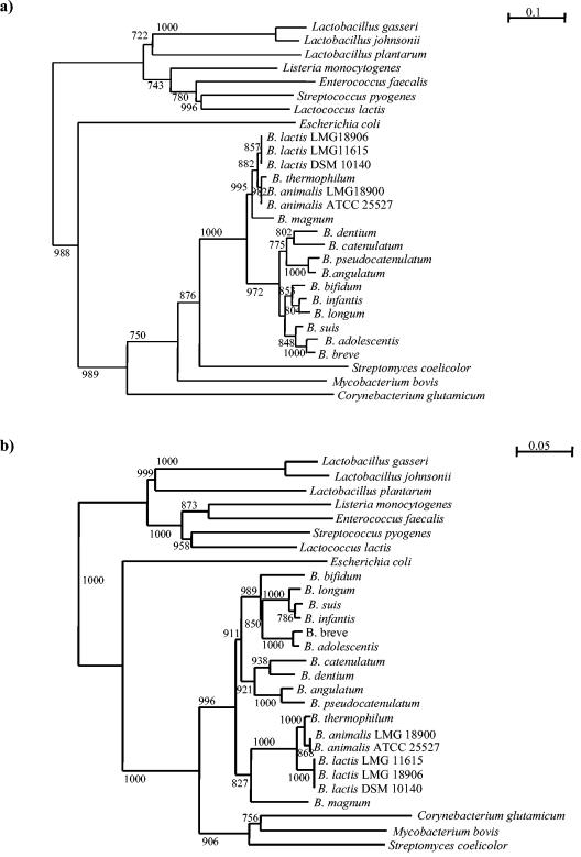 FIG. 5.