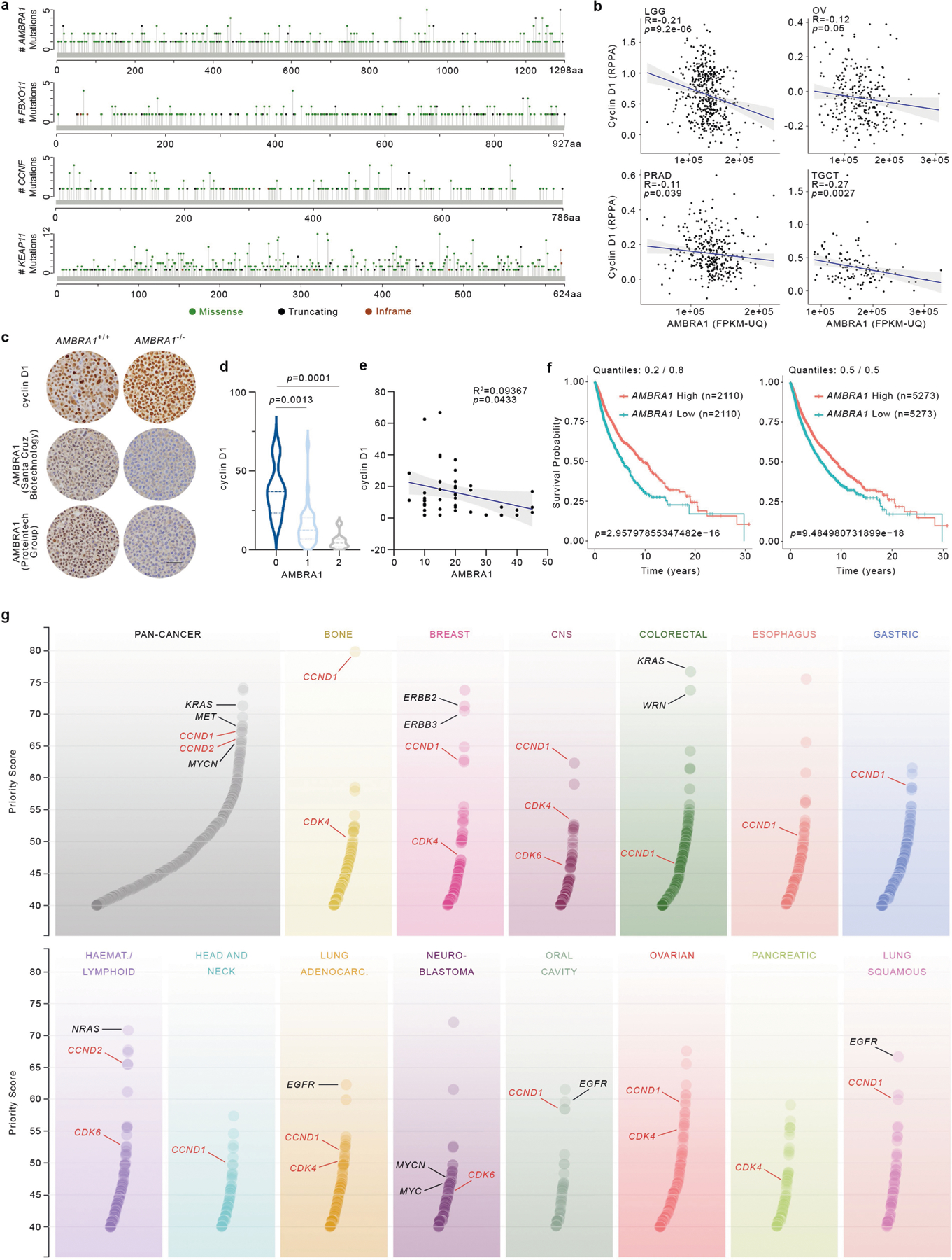 Extended Data Fig. 7 |