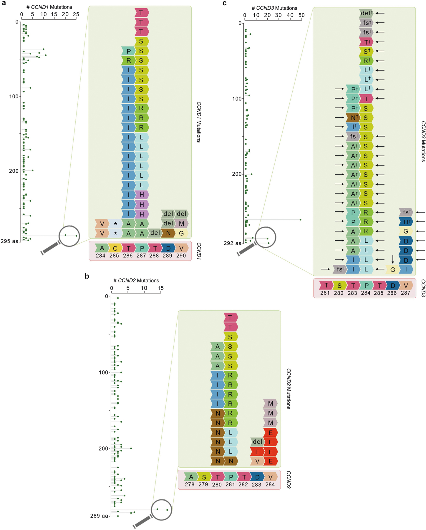 Extended Data Fig. 8 |