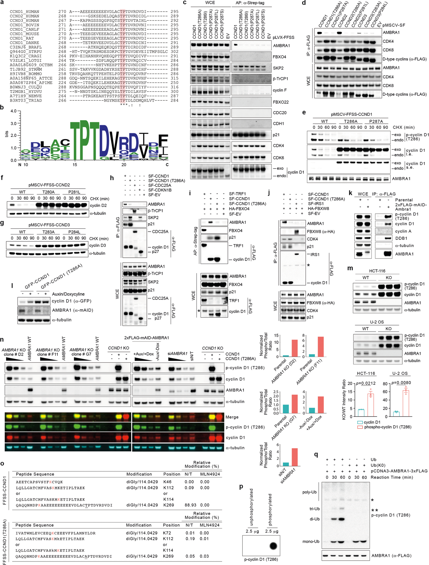 Extended Data Fig. 4 |