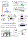 Extended Data Fig. 2 |