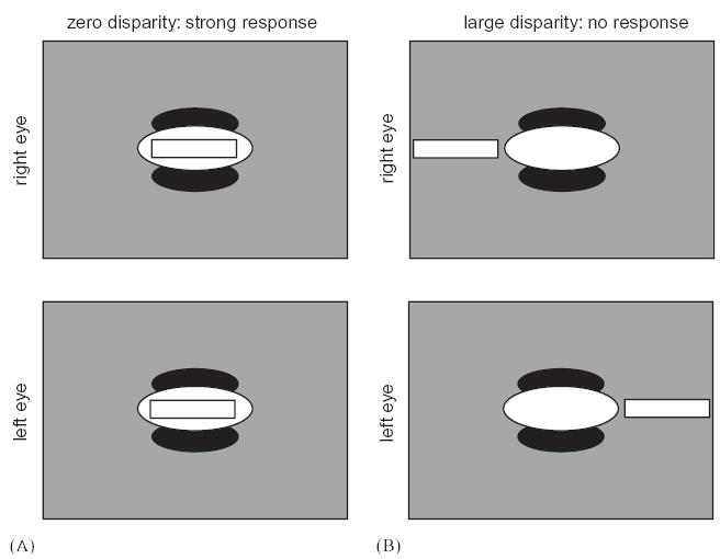 Fig. 13