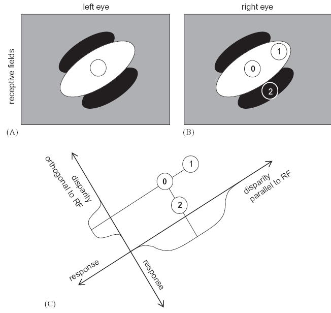 Fig. 12