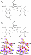 FIG. 2.
