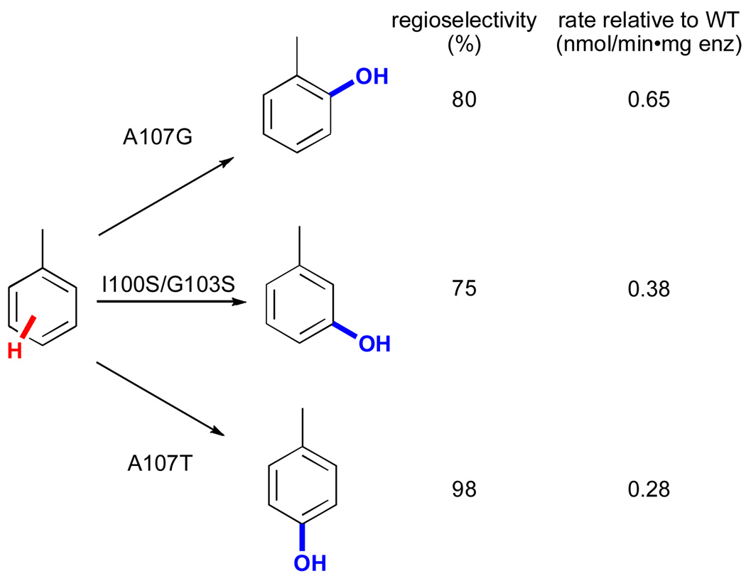 Figure 19