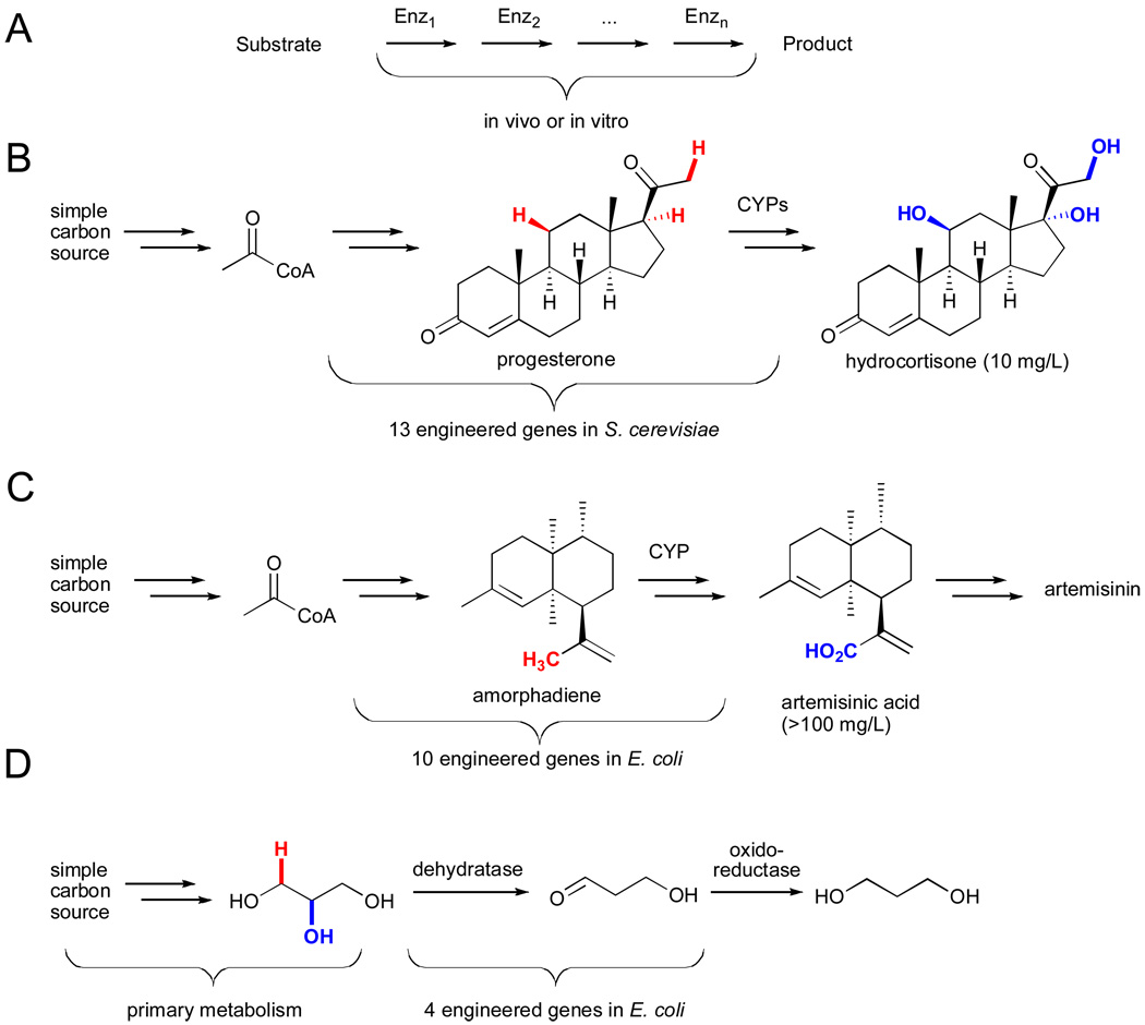 Figure 20