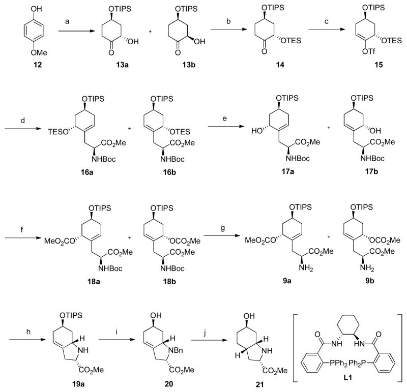 Scheme 1