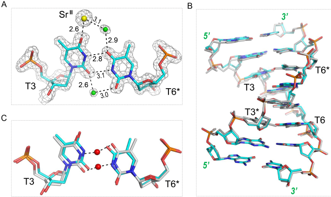 Figure 6.