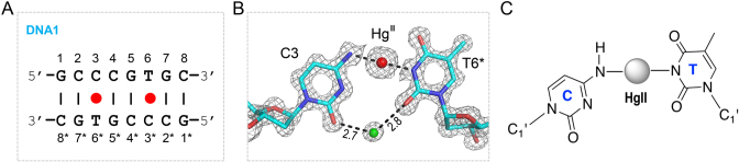 Figure 2.