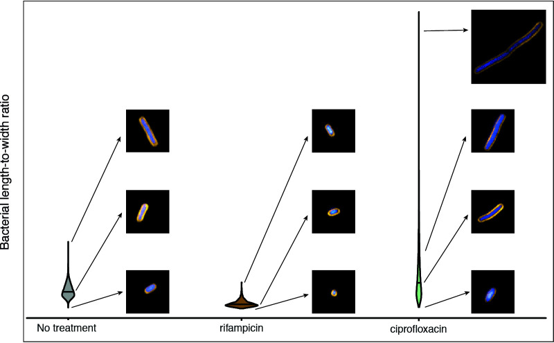 FIG 8