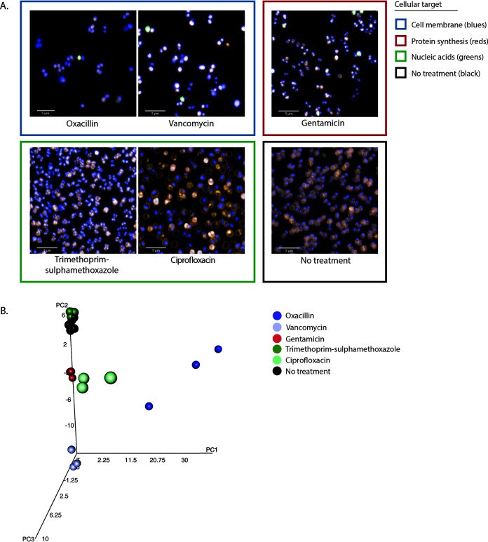 FIG 6