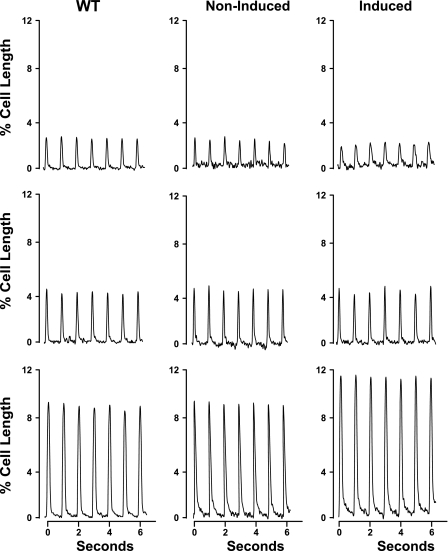 Fig. 4.