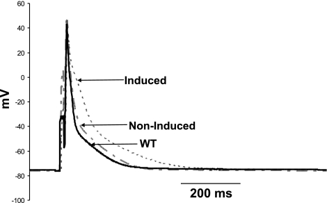 Fig. 8.