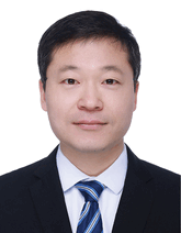 graphic file with name ADVS-11-2410524-g021.gif